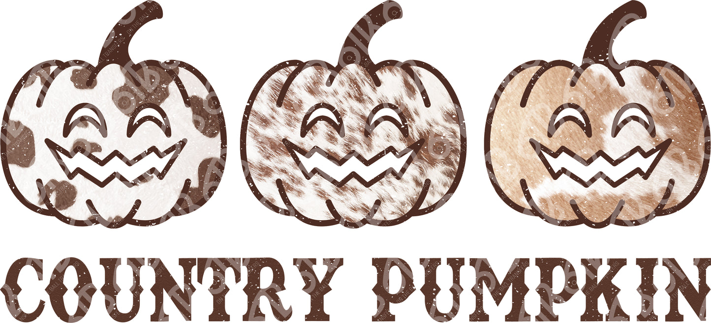 Country Pumpkin DTF Transfer