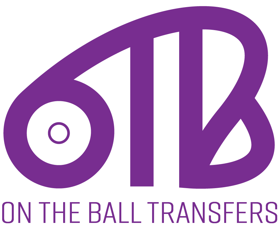 DTF Transfer Christmas Mystery Pack