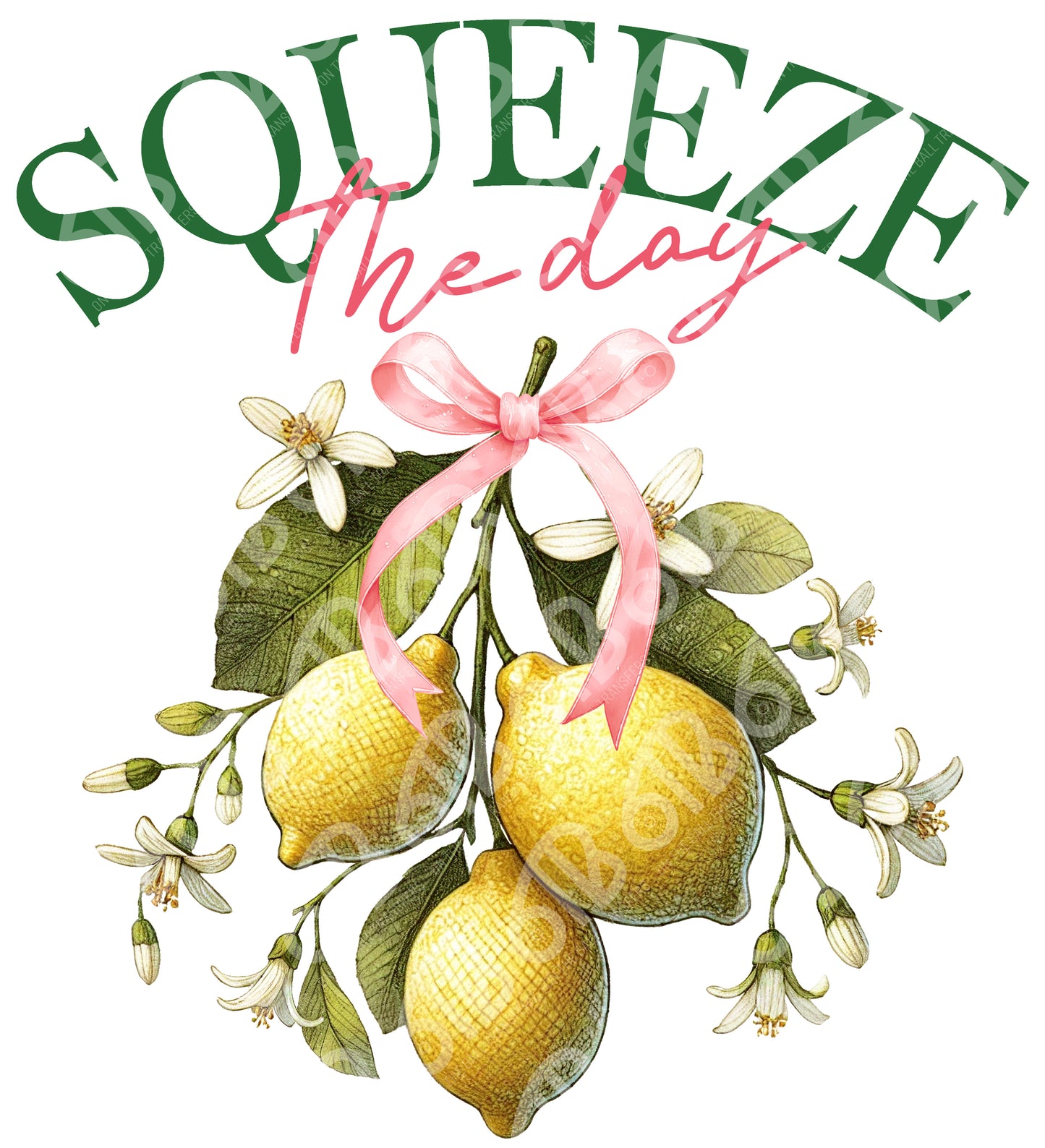 Squeeze the Day DTF Transfer