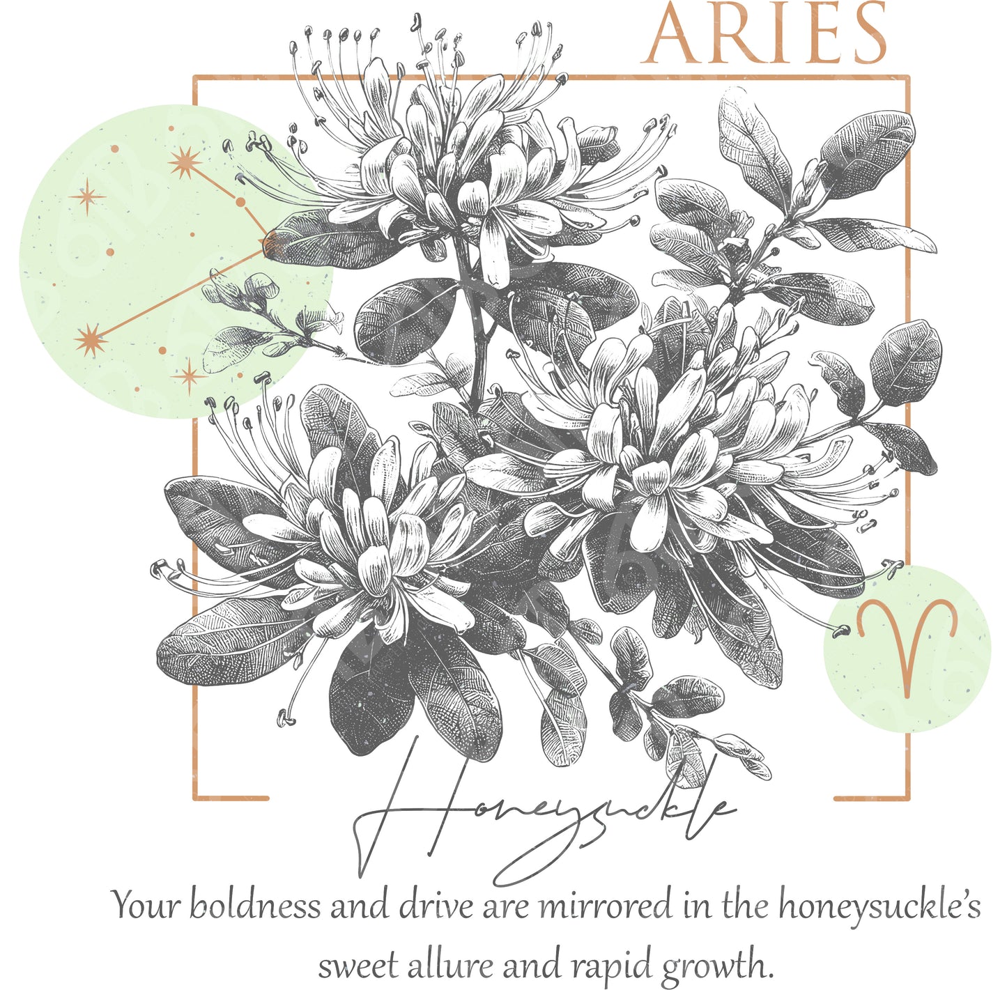 Aries Zodiac Flowers DTF Transfer