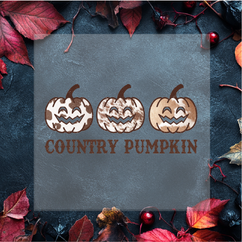 Country Pumpkin DTF Transfer