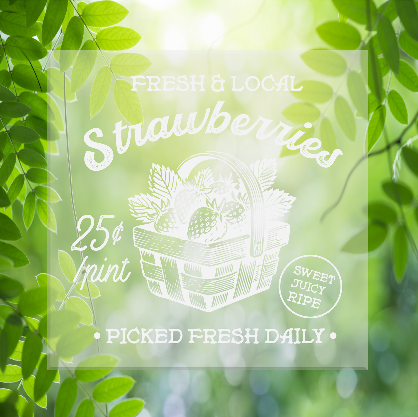 Fresh Strawberries DTF Transfer