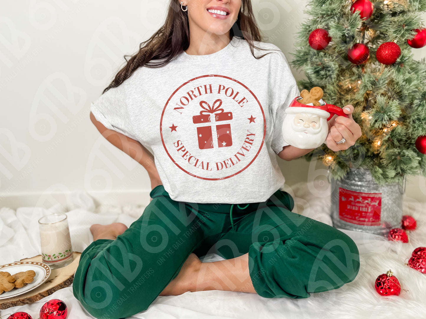 North Pole Special Delivery DTF Transfer