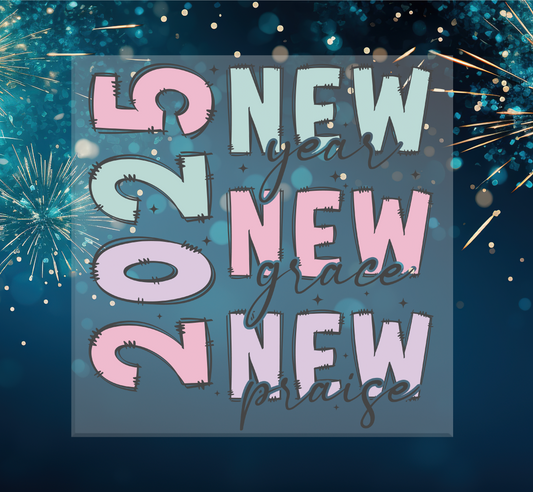 2025 New Year DTF Transfer