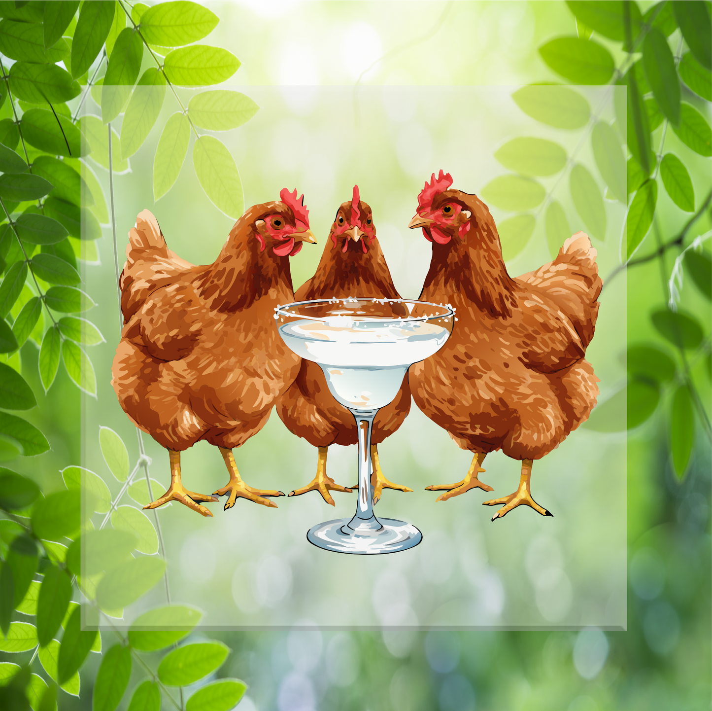 Drinking Hens Transfer