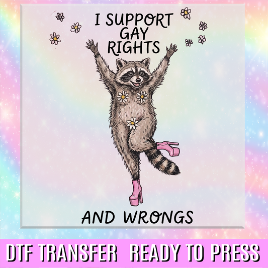 I support Gay Rights and Wrongs DTF Transfer