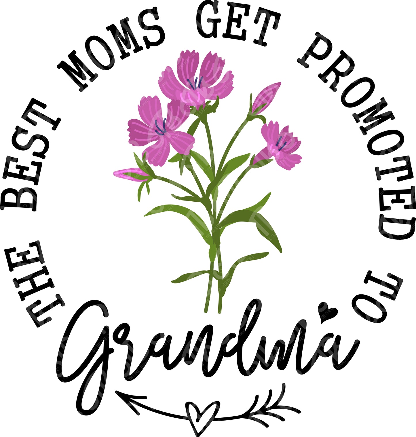 The best Moms Get Promoted to Grandma DTF Transfer