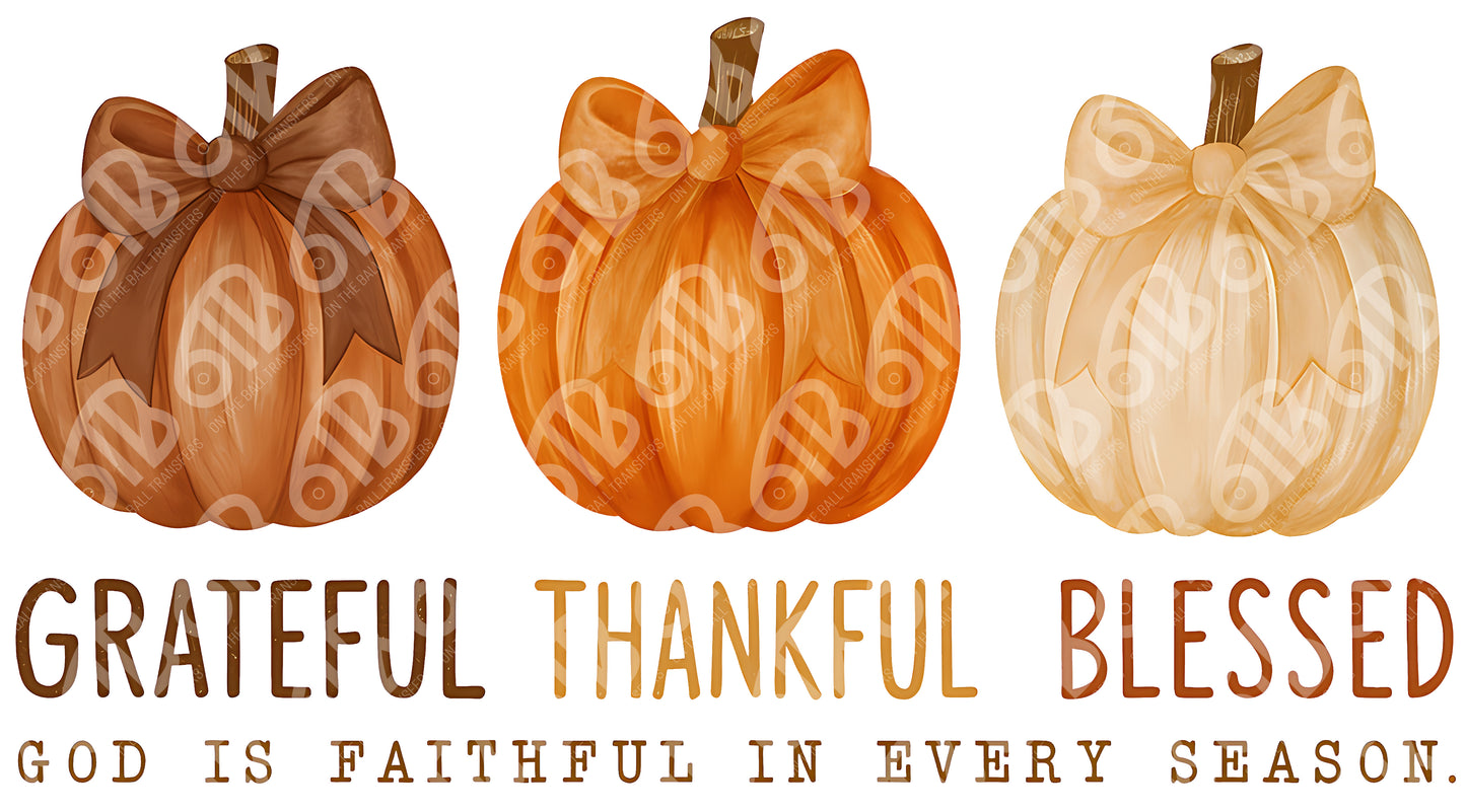 Grateful Thankful Blessed Pumpkins DTF Transfer