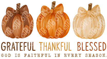 Grateful Thankful Blessed Pumpkins DTF Transfer