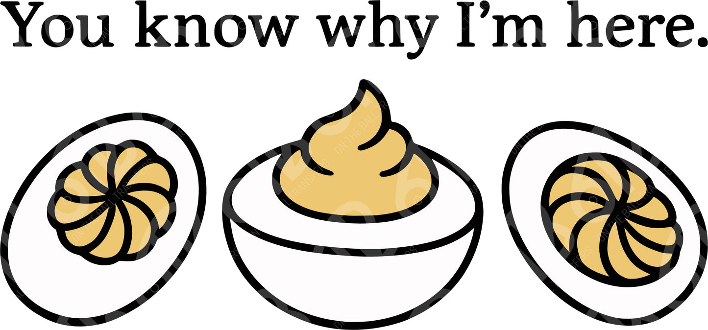 You Know Why I'm Here DTF Transfer