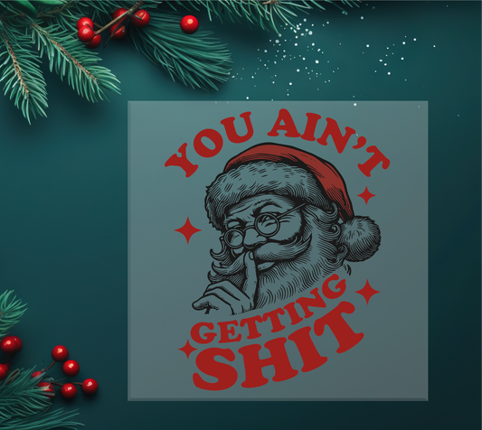 You Ain't Getting Shit DTF Transfer