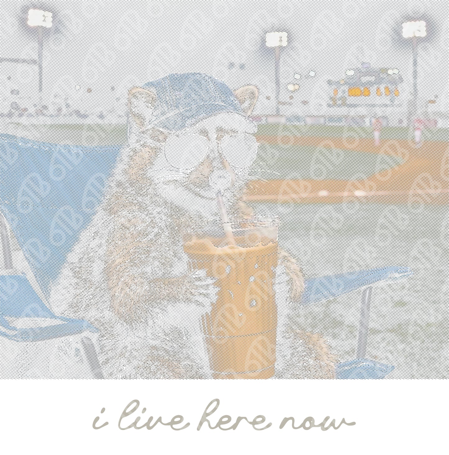 Halftone Raccoon I live Here Now DTF Transfer