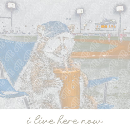 Halftone Raccoon I live Here Now DTF Transfer