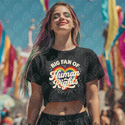 Big Fan Of Human Rights Rainbow Faux Yarn DTF Transfer
