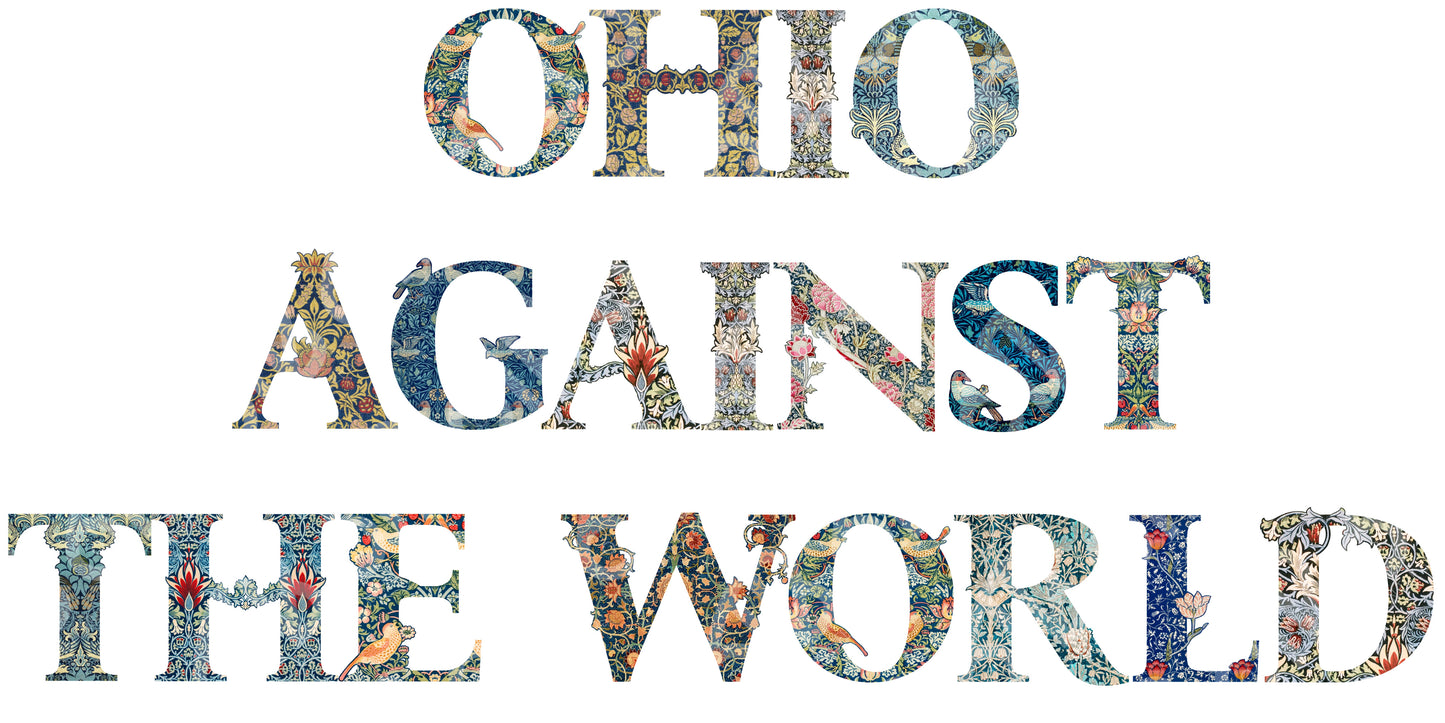Ohio Against The World DTF Transfer