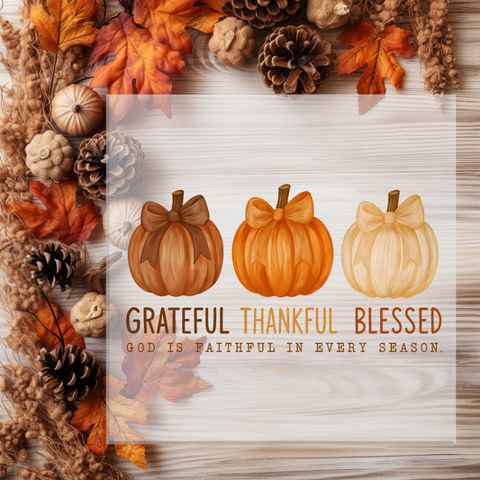 Grateful Thankful Blessed Pumpkins DTF Transfer