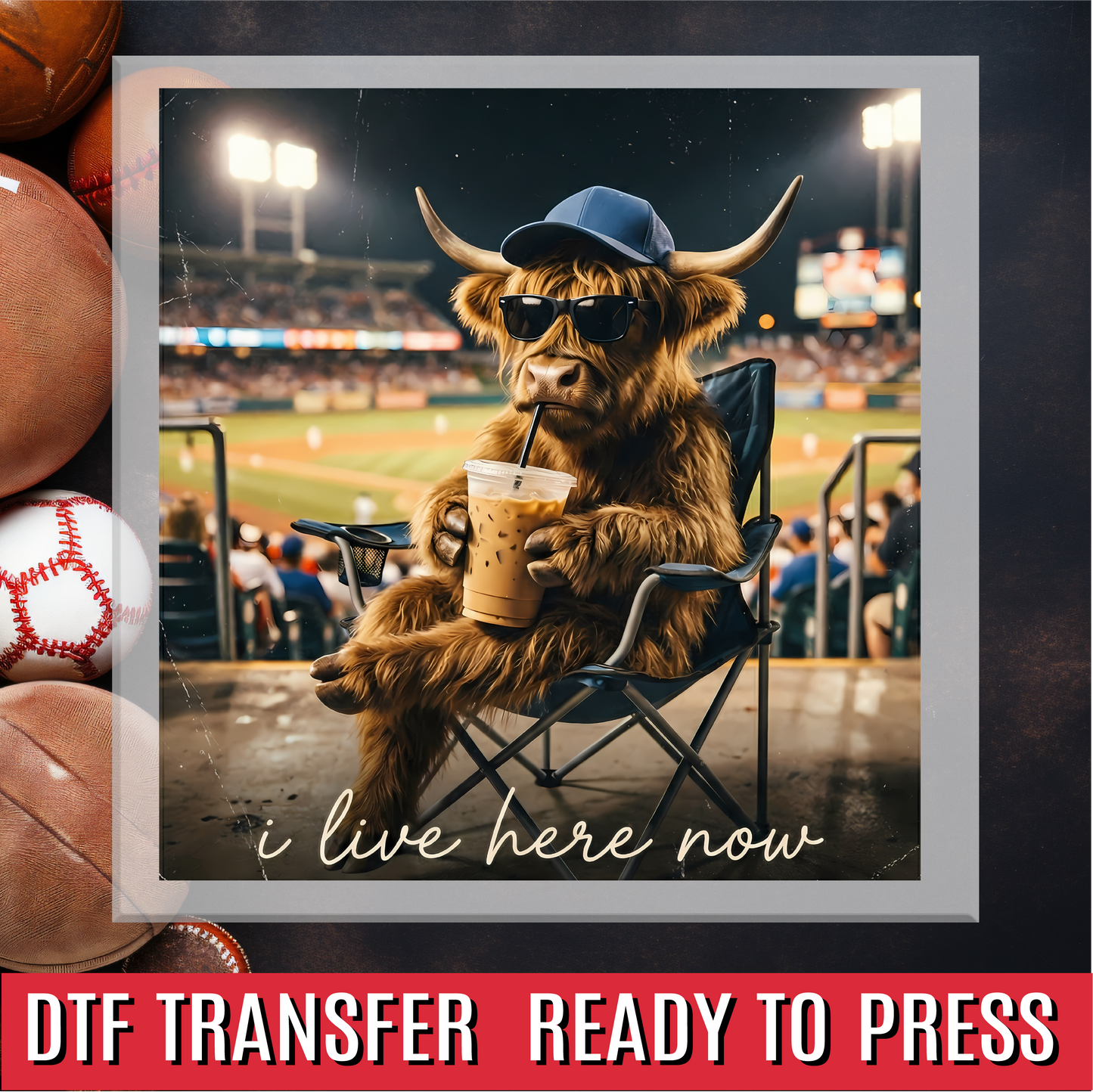 I live here now highland cow DTF Transfer