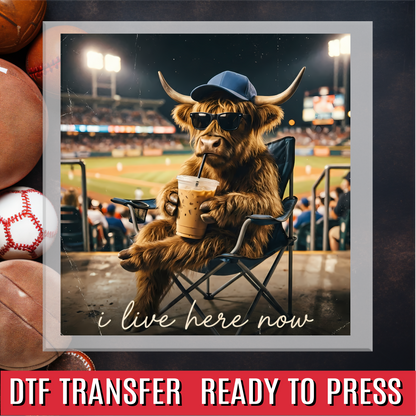 I live here now highland cow DTF Transfer
