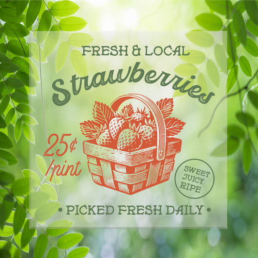 Fresh Strawberries DTF Transfer