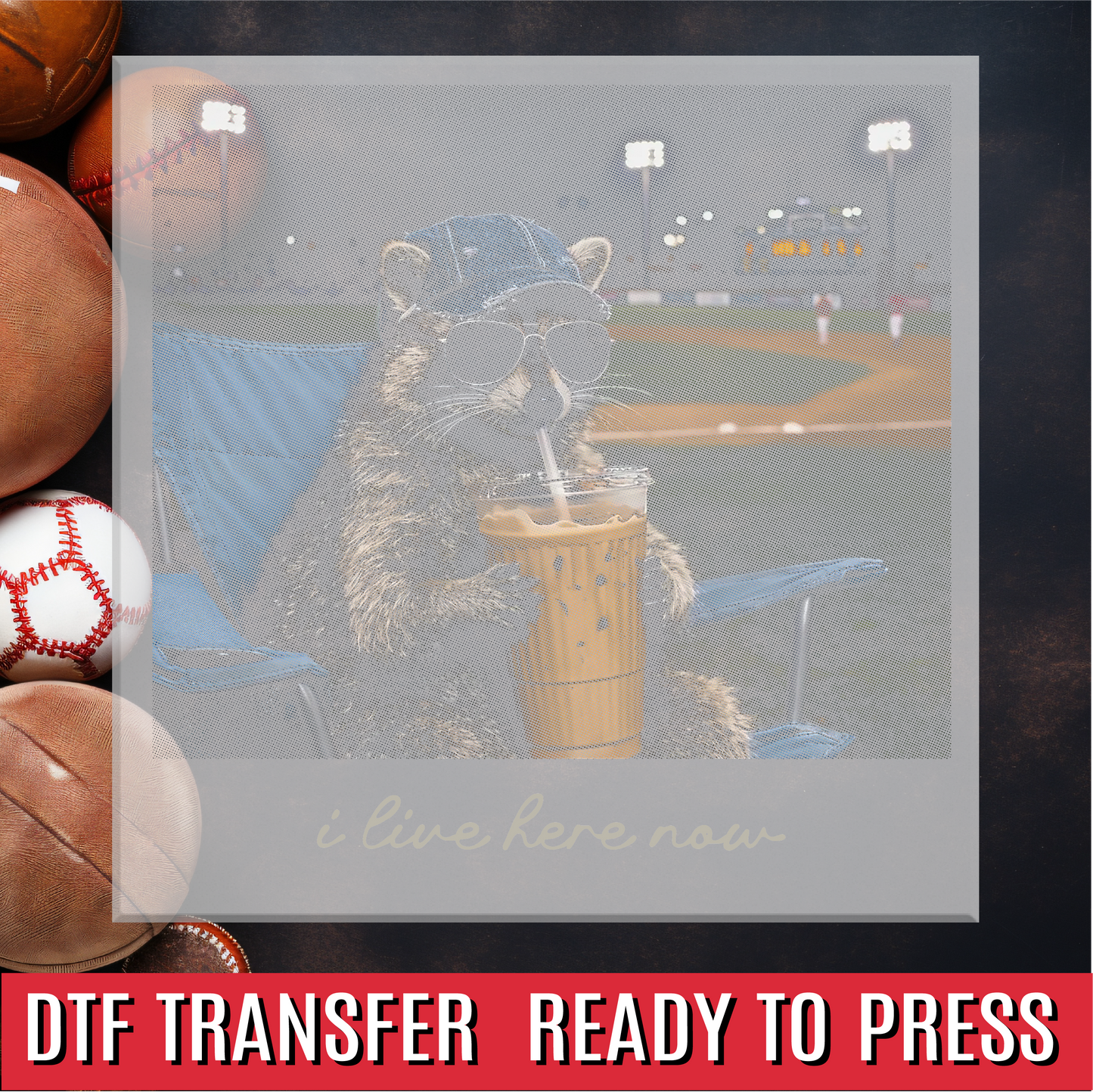 Halftone Raccoon I live Here Now DTF Transfer