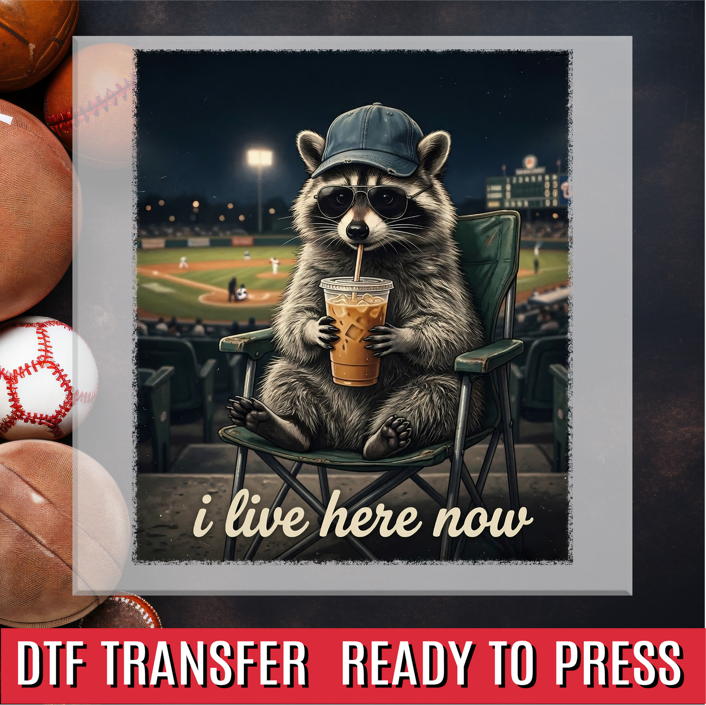 I Live Here Now Raccoon DTF Transfer
