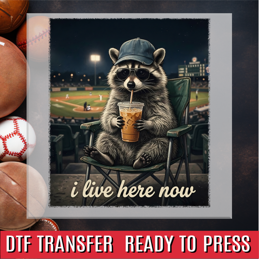 I Live Here Now Raccoon DTF Transfer