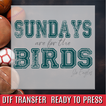 Sundays are for the Birds DTF Transfer