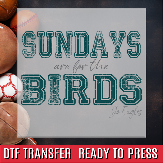 Sundays are for the Birds DTF Transfer
