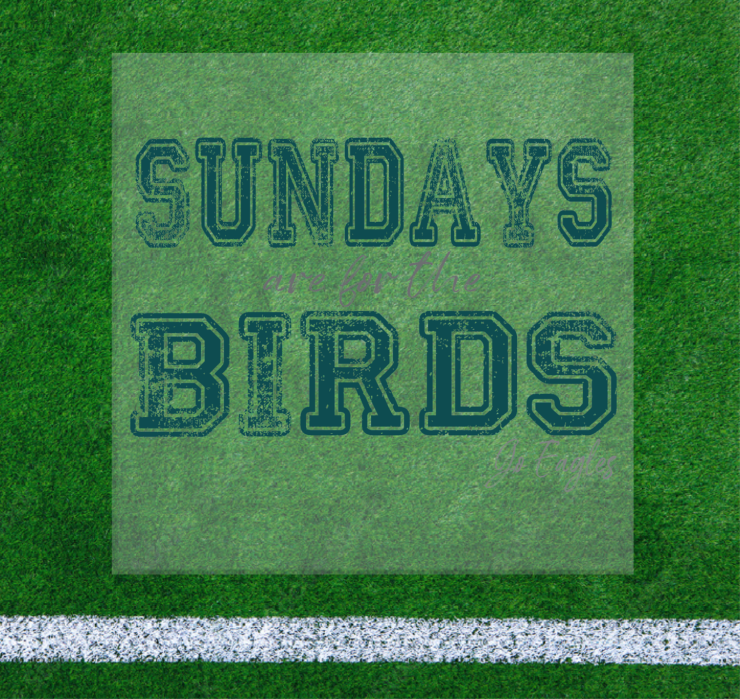 Sundays Birds DTF Transfer