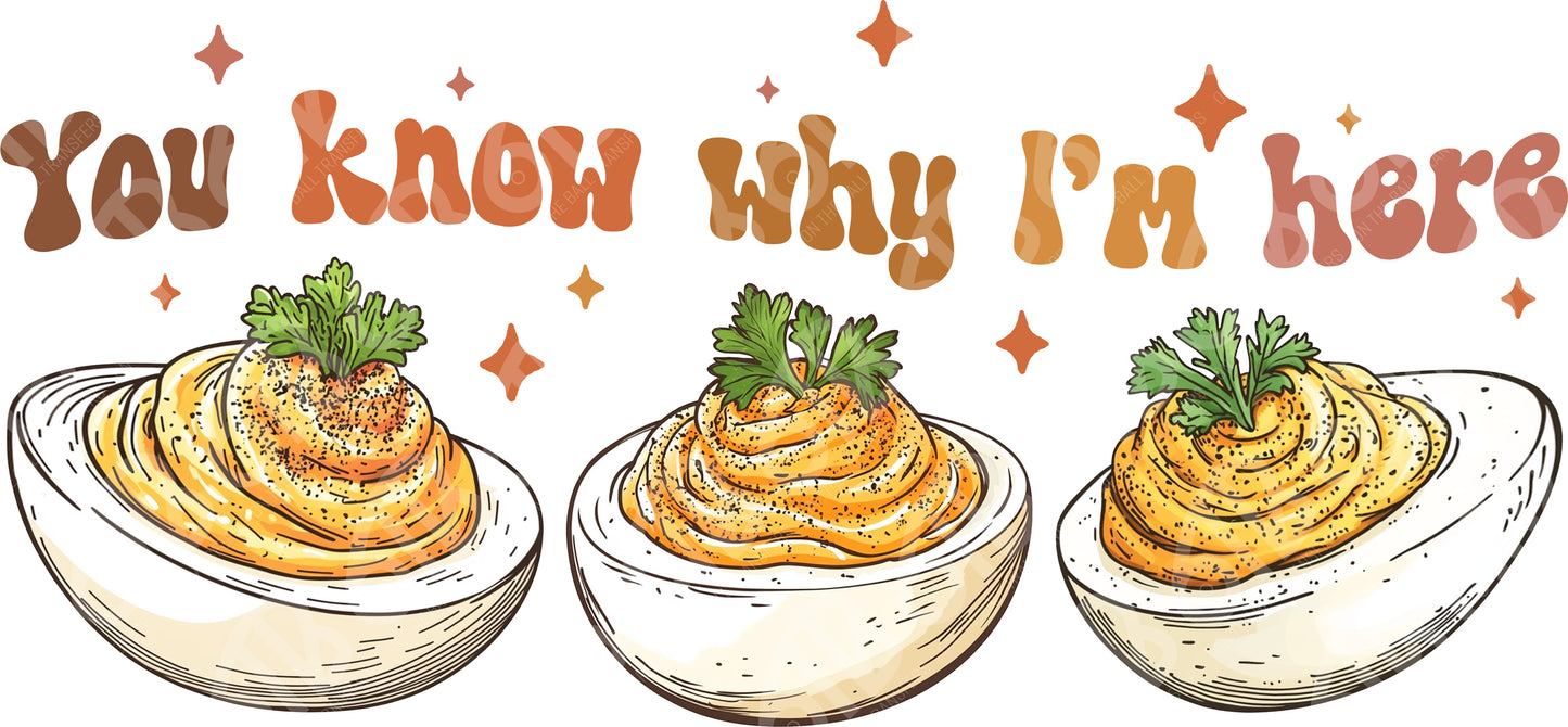 You Know Why I'm Here Cute DTF Transfer